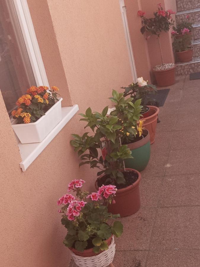 Erna Apartman Zalakaros Exteriér fotografie